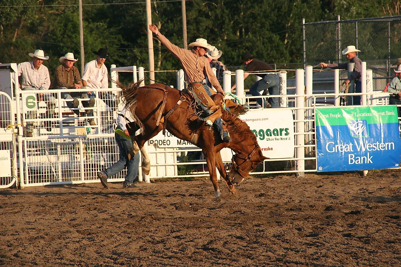 Cowboy on a wild bucking horse at a traditional rodeo event in Nebraska.