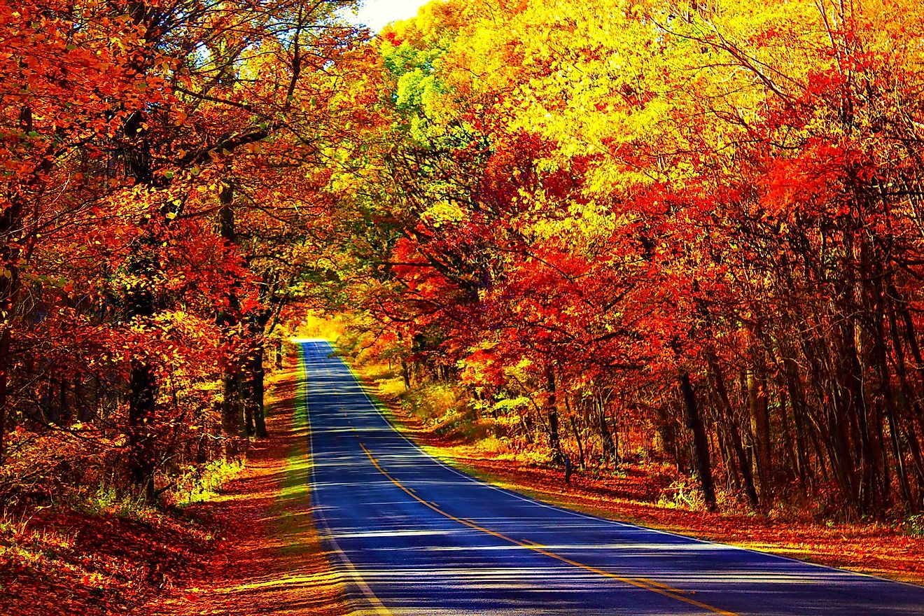 Roadtrips to see the autumn colors is a popular activity in some parts of North America. 