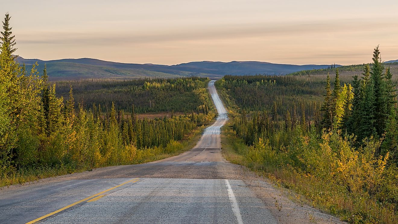 An empty road through the Alaskan wilderness.