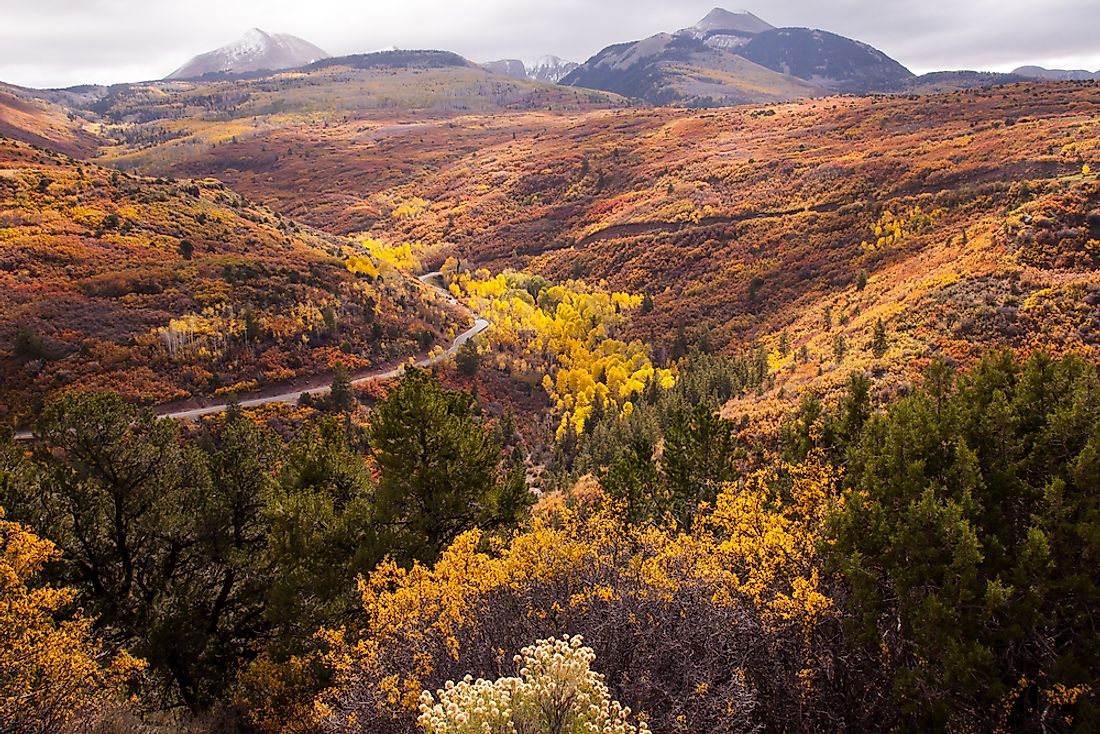 The Manti-La Sal National Forest was established as a forest reserve in 1903.
