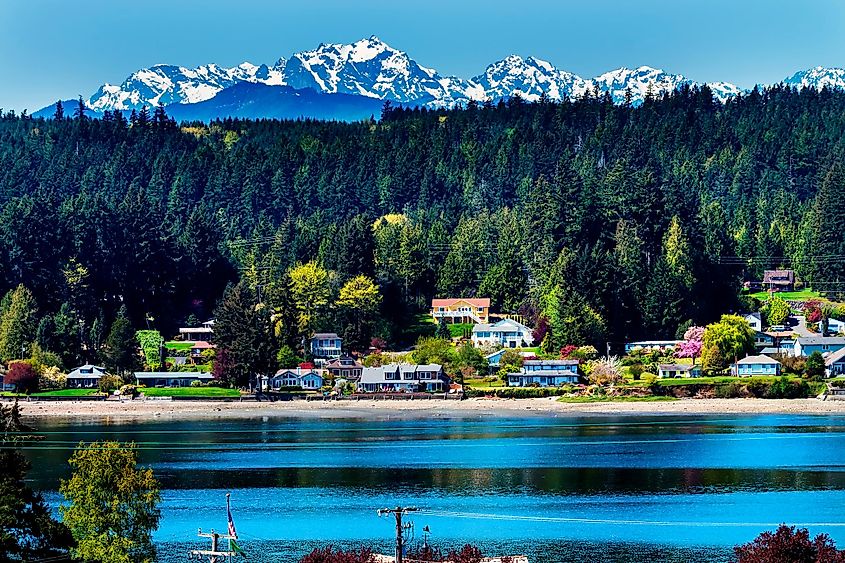 Coastal view of homes and foliage in Bainbridge Island, Washington.
