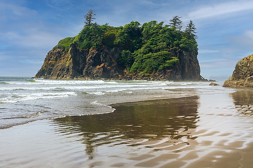Beach along the Washington state coast in the Olympic National Park.