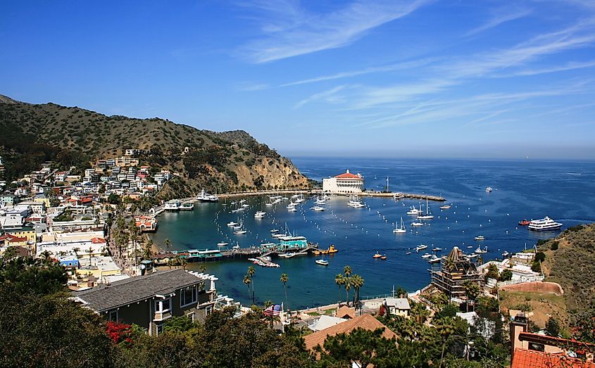 View from above of the bay and casino, Avalon, Santa Catalina Island, California.