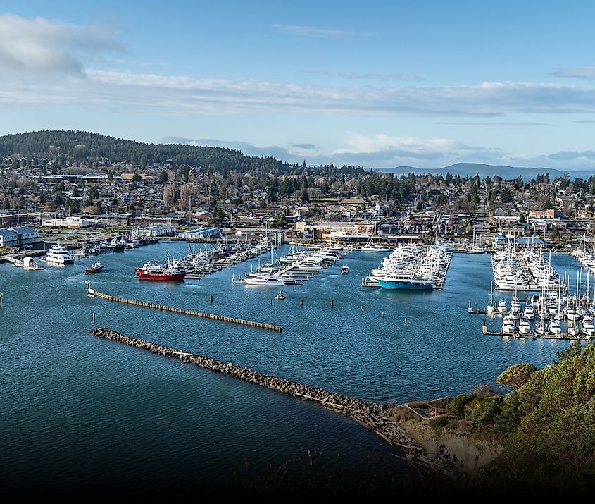 The docked boats at the marine with the coastal residential area in Anacortes, Washington.