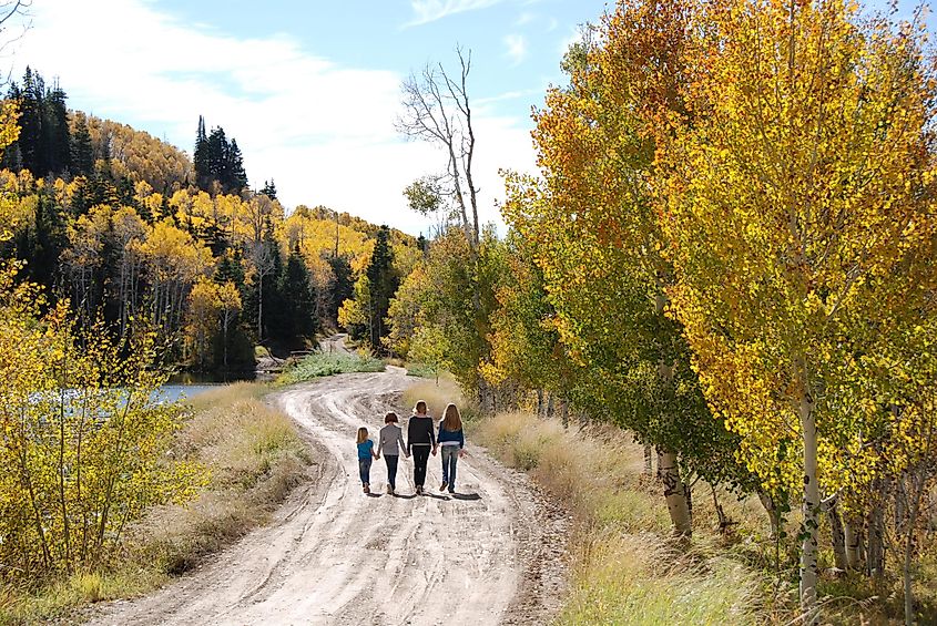 People walking in Ephraim, Utah in the fall with yellow leaves on the trees