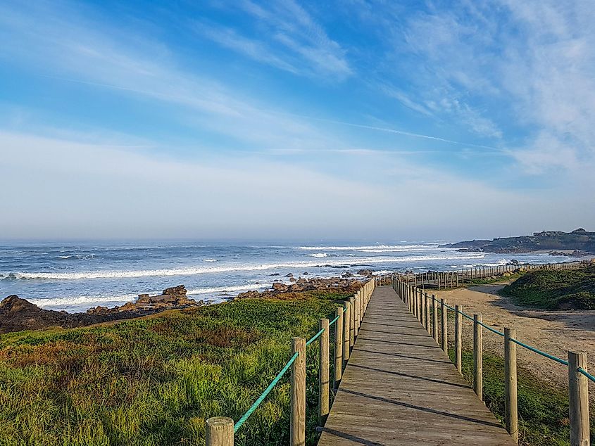 A seaside wooden boardwalk stretches off into the distance on a bluebird day
