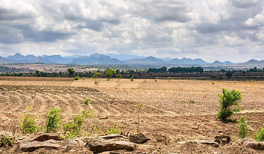 a panorama of empty dry fields in Malawi as the rains have not arrived