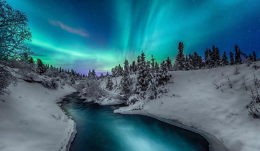Northern lights, Yukon, Canada photography