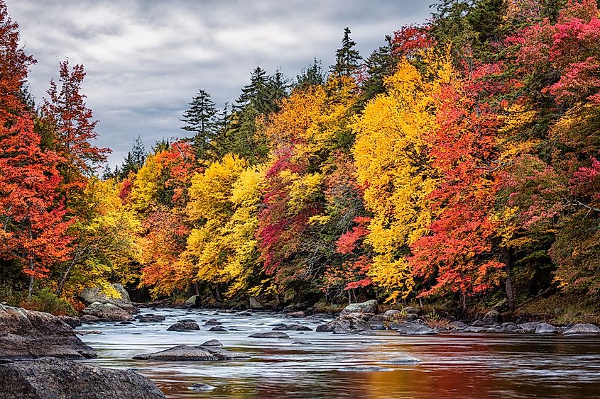 USA, New York, Adirondacks. Long Lake, autumn color along the Raquette River.