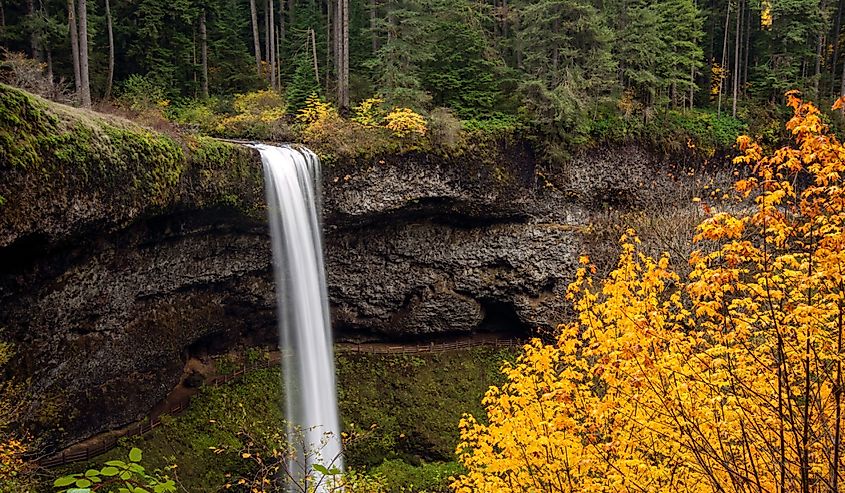 This is South Silver Falls in Silver Falls State Park, Oregon, which is near Silverton