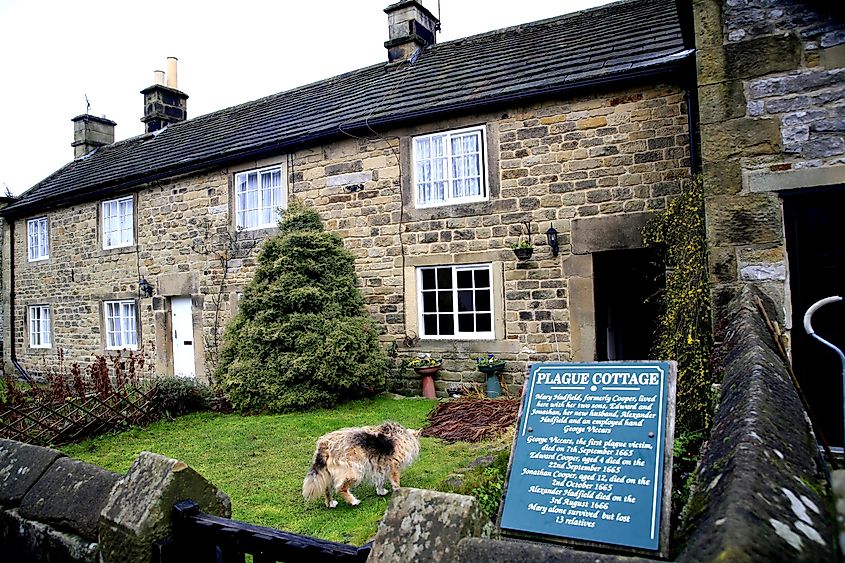 The cottage in Eyam where the plague was first contracted. Image by Oscar Johns via Shutterstock